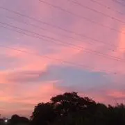 ゆうの画像