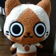 ねこまるの画像