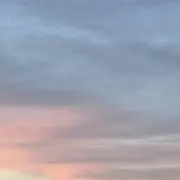 あかねこ[断捨離中]の画像