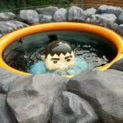 きのきのきのこの画像