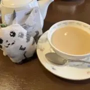 ちぴ※プロフ必読の画像