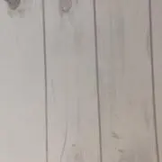 BBの画像