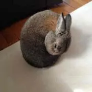 うらママの画像