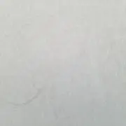 さくら(✿´ ꒳ ` )の画像