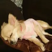 ちゃみっぺ(プロフ必ず)