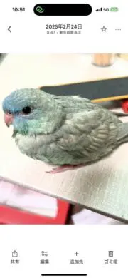 やがみ