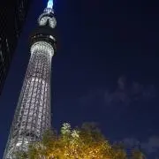 文月の画像