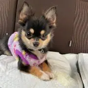ヒロ