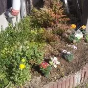 みの