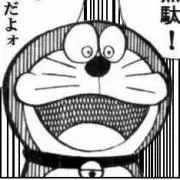 Dora【6/3~5日まで発送お休み】の画像