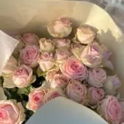 roseの画像