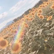 mの画像