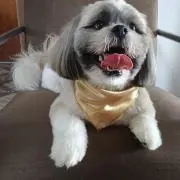 ビリー