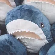 いちごの画像