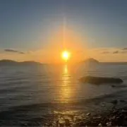 光里の画像