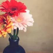 3の画像