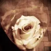 ゆつき