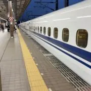 24時間以内発送リーの画像