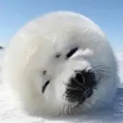 ゆう