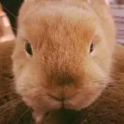 ひろ