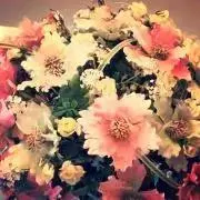 *ar*の画像