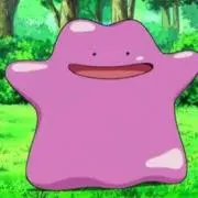ぴぴの画像