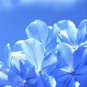 bigmomの画像