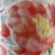 Fuu16の画像