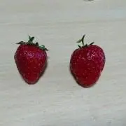 ふみこ