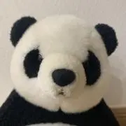 OPの画像