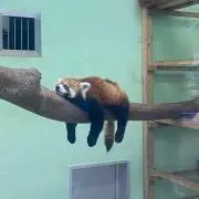こりん♡ ※要プロフ確認(願)
