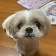 ユリウス