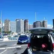 THZRの画像