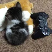 ゆっぴ