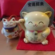 きんきんの画像