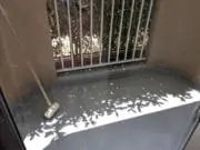 なっちゃんの画像