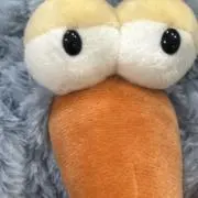 かがやの画像