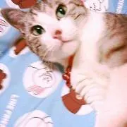 まーさん