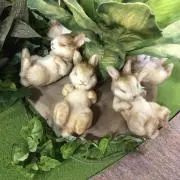 pipi