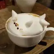 Miii***