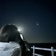 こんにゃく畑の画像