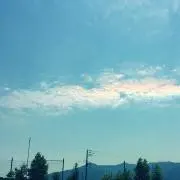 tatanの画像