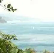 MＡの画像