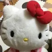 ぺっちゃんの画像