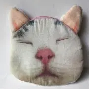 クゥの画像