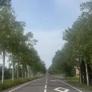 いいっちの画像