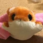 しろくろ