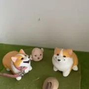 Satominの画像