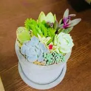 ❁﻿Kai⁺˚の画像
