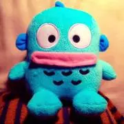 はんぎょどん